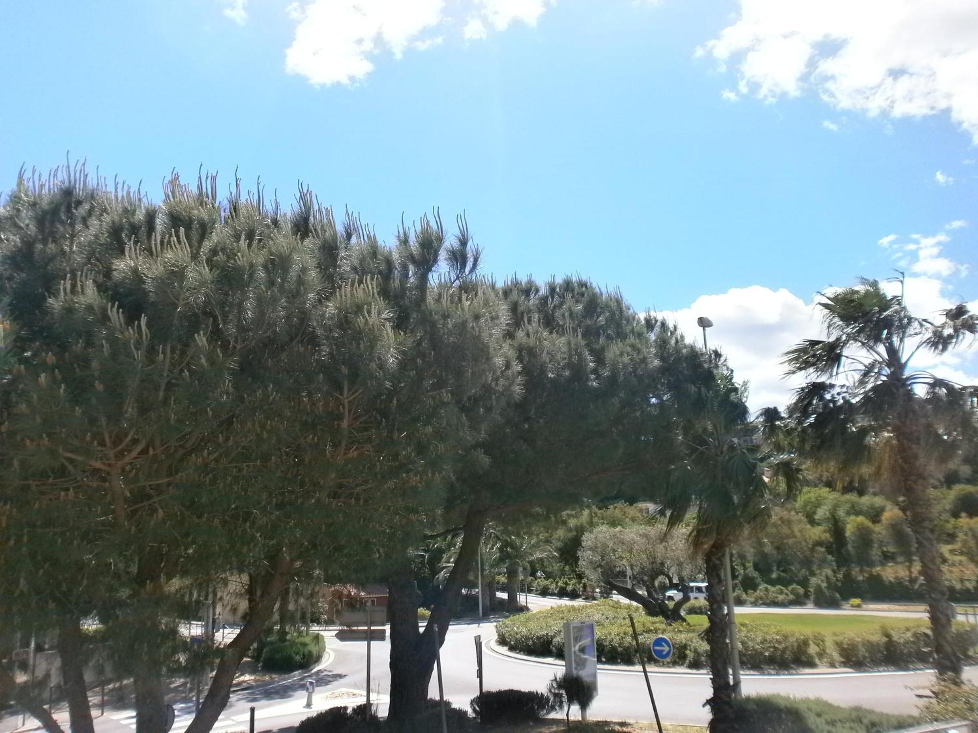 Hotel La Bastide Le Lavandou